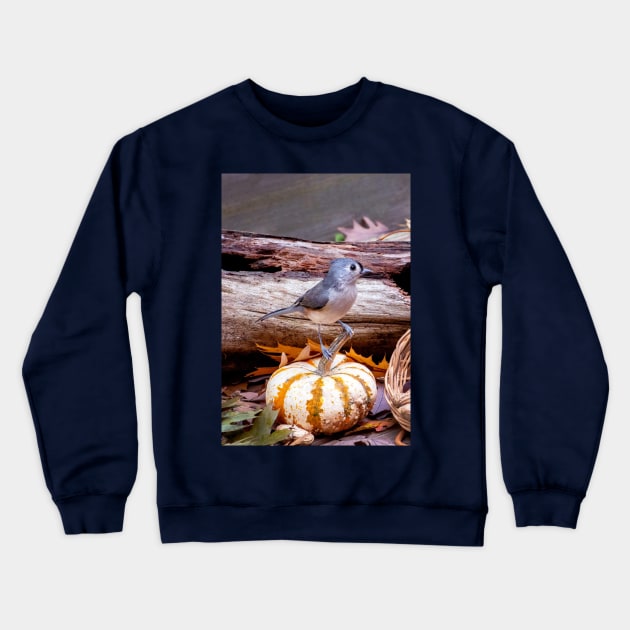 Little bird on a tiny pumpkin Crewneck Sweatshirt by iyd39